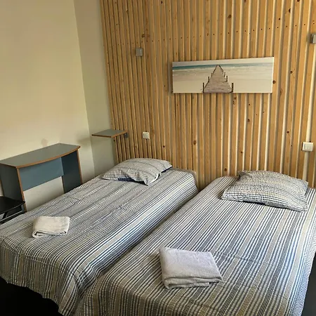 Twin Proche De La Gare Апартаменты Langeac